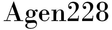 Agen228